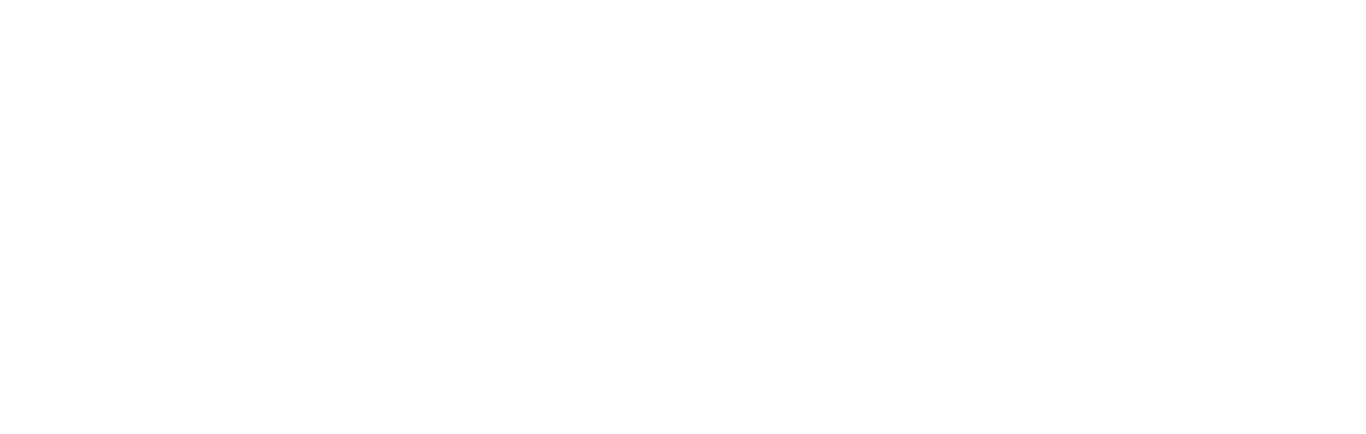 SASE Logo